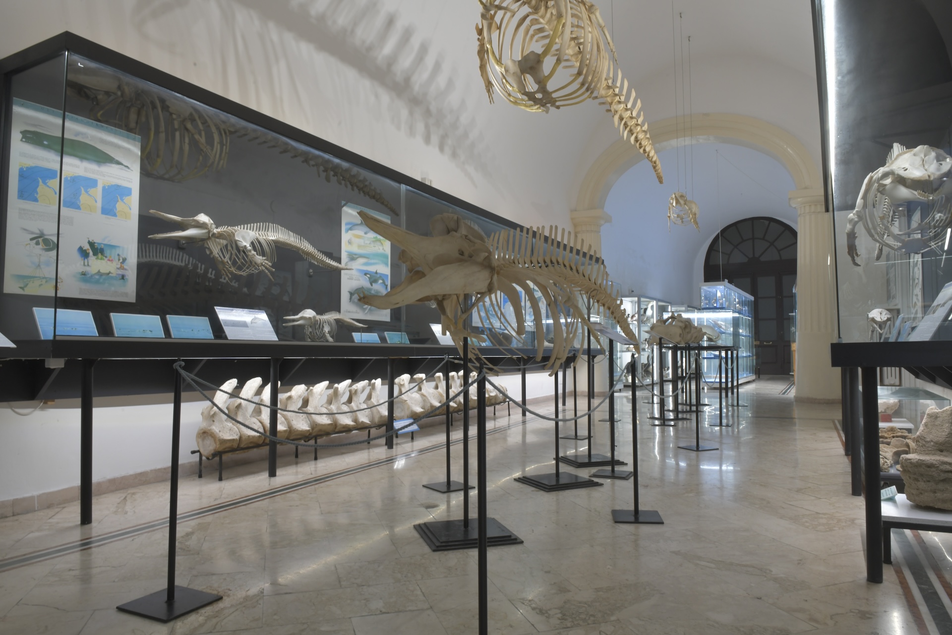 Museo Del Mare